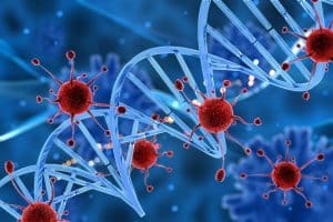 Sel Virus