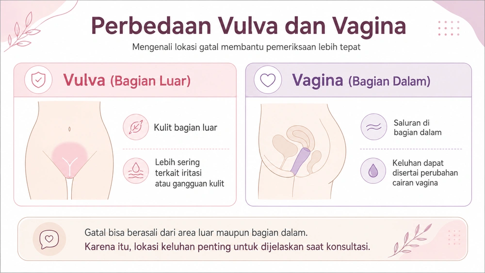Gatal di Area Kewanitaan Tidak Selalu karena Keputihan, Kenali Penyebabnya 5 Perbedaan Vulva dan Vagina
